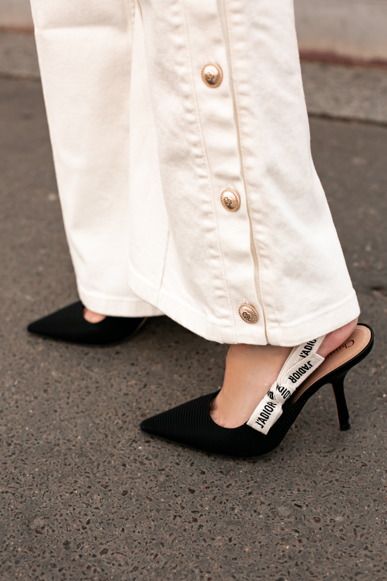 Dior Slingbacks Shoe Trends